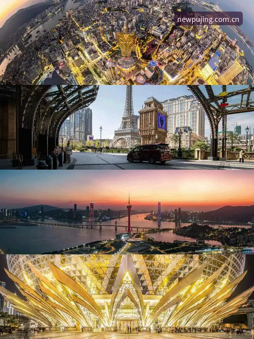 新莆京官方入口 新莆京官方入口 vs 传统澳门娱乐平台:2026版本升级体验全面对比